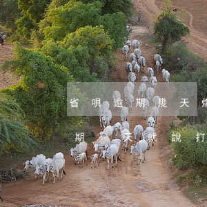 省唄逾期幾天爆聯(lián)系人(省唄逾期一天就說打緊急聯(lián)系人真是的)