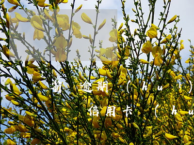 省唄逾期會(huì)影響信用卡降額嗎(還唄還信用卡會(huì)不會(huì)降額度)