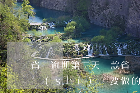省唄逾期第二天還款(省唄逾期了怎么辦?第一時(shí)間要做的是這件事!)