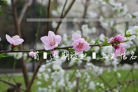 省唄逾期被起訴上失信名單