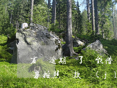 省唄逾期還了還能借嗎-省唄逾期后可以接著按照還款計(jì)劃還嗎