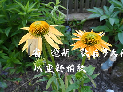 省唄逾期還款后多久再借(省唄還清了多久可以重新借款?)