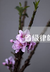 省級律師如何收費，省律師收費標準