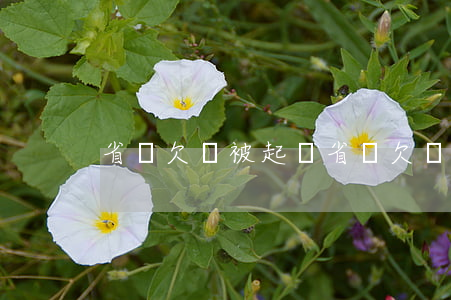 省貸欠錢被起訴 省貸欠錢被起訴會坐牢嗎
