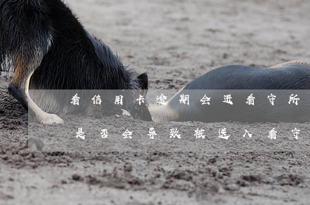 看信用卡逾期会进看守所吗，信用卡逾期未还是否会导致被送入看守所？