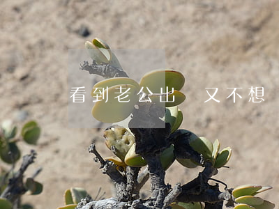 看到老公出軌又不想離婚怎么辦