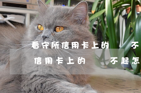 看守所信用卡上的錢還不起怎么辦-看守所信用卡上的錢還不起怎么辦呢