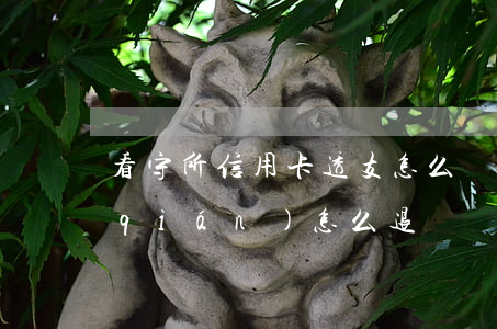 看守所信用卡透支怎么辦(看守所卡里的錢(qián)怎么退)