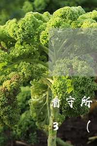 看守所信用卡逾期三個(gè)月(欠信用卡3個(gè)月會(huì)拘留嗎)