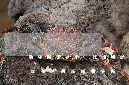 看守所可以申請法律援助嗎(法律援助機構可以在人民法院看守所)