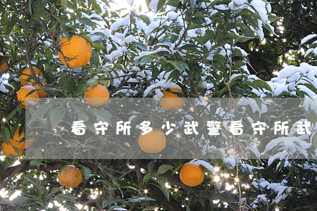 看守所多少武警(看守所武警屬于什么部隊)