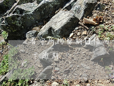 看守所拘留期間信用卡逾期(看守所出來信用卡逾期)