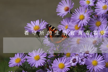 看守所的生活(官員在看守所的生活)
