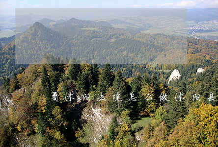 看沭阳法院怎么做(沭阳县人民法院)