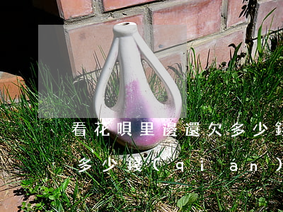 看花唄里邊還欠多少錢(qián)(花唄還多少錢(qián)怎么看)