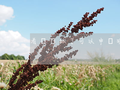 看賭場抓了可以申請暖助律師嗎