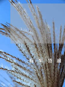 看车贷逾期多久会被起诉