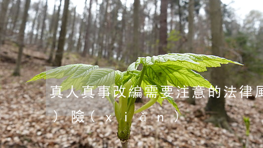 真人真事改編需要注意的法律風(fēng)險(xiǎn)