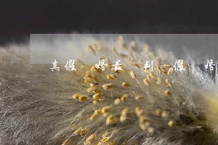 真假離婚最終判決(假離婚案件)