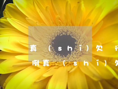 真實(shí)欠銀行錢(qián)的案例(真實(shí)欠銀行錢(qián)的案例視頻)