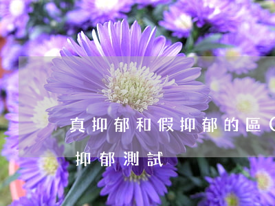 真抑郁和假抑郁的區(qū)別(真抑郁和假抑郁測試)