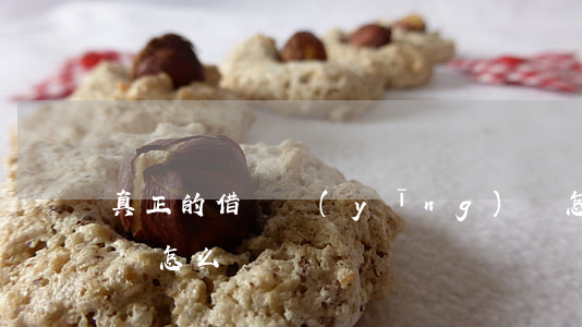 真正的借條應(yīng)該怎么寫(一般借條怎么寫)