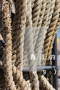 真正的網(wǎng)貸起訴短信(網(wǎng)貸欠款發(fā)的起訴信息是真的嗎)