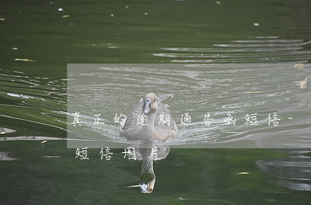 真正的逾期通告函短信-真正的逾期通告函短信图片