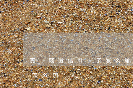 真沒錢還信用卡了怎么辦(真沒錢還信用卡了怎么辦)