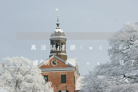 真沒錢還網(wǎng)貸了怎么辦 真沒錢還網(wǎng)貸了怎么辦呀