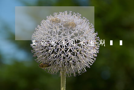 真的有信用卡逾期嗎嗎