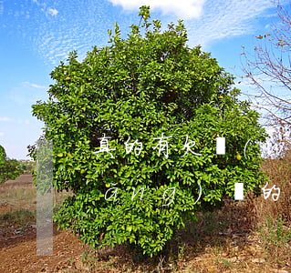 真的有欠網(wǎng)貸的人嗎(欠網(wǎng)貸的人多嗎)