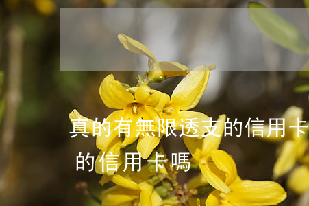 真的有無限透支的信用卡嗎(真的有無限透支的信用卡嗎)