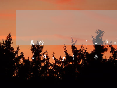 真的沒錢還網(wǎng)貸了怎么辦(網(wǎng)貸平臺沒有了,錢怎么還)