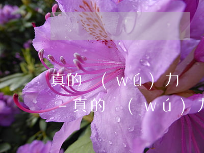 真的無(wú)力償還銀行催收我如何處理-真的無(wú)力償還銀行催收我如何處理呢