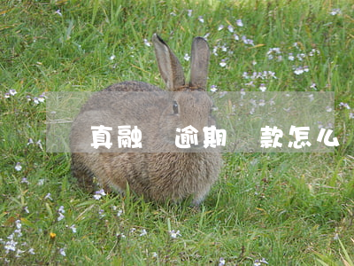 真融寶逾期還款怎么辦(真融寶最近回款正常嗎)