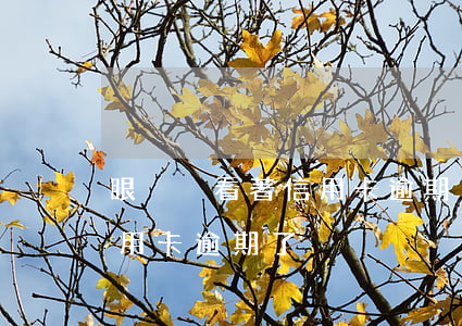 眼睜睜看著信用卡逾期(沒(méi)注意信用卡逾期了)