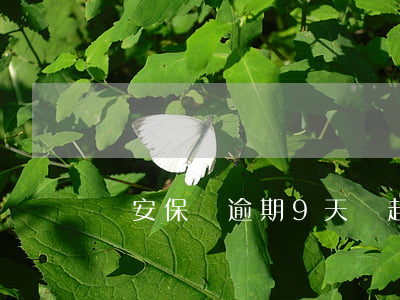 眾安保險逾期9天說起訴