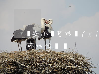 眾安小貸可以協(xié)商嗎-眾安小貸可以借錢嗎