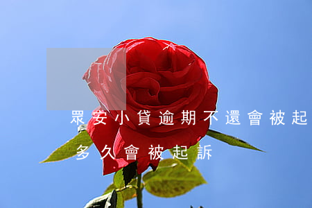 眾安小貸逾期不還會被起訴嗎(眾安小貸逾期多久會被起訴)