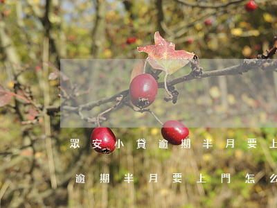 眾安小貸逾期半月要上門怎么辦-眾安小貸逾期半月要上門怎么辦