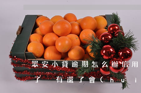 眾安小貸逾期怎么辦信用卡-眾安小貸逾期了沒有還了會(huì)不會(huì)有什么問題