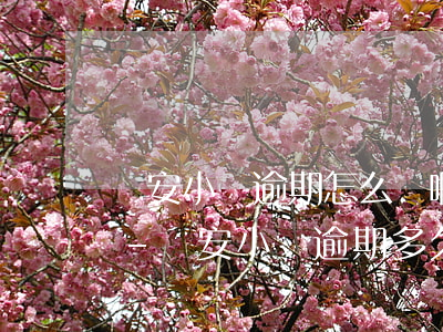 眾安小貸逾期怎么辦啊多久能恢復(fù)-眾安小貸逾期多久會(huì)被起訴