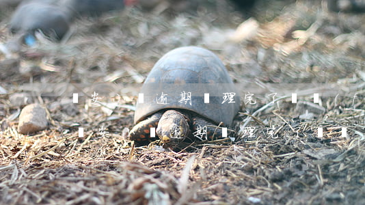 眾安小貸逾期處理完了還發(fā)短信-眾安小貸逾期處理完了還發(fā)短信嗎