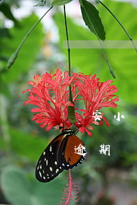眾安小貸逾期處理完了還發短信-眾安小貸逾期處理完了還發短信嗎