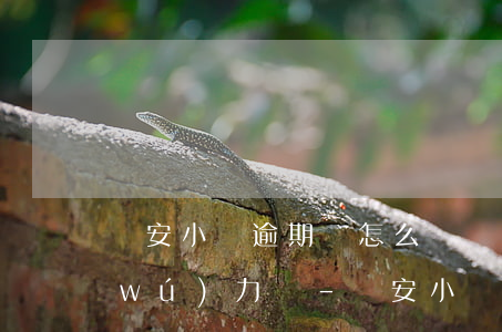 眾安小貸逾期該怎么辦實(shí)在無(wú)力還-眾安小貸逾期該怎么辦實(shí)在無(wú)力還款