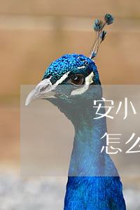 眾安小貸還款能延期嗎 眾安小貸還款能延期嗎怎么還