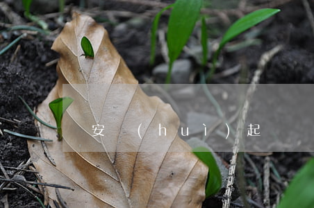 眾安會(huì)起訴嗎（眾安金融逾期起訴嗎）