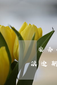 眾安杏仁派逾期一個(gè)月-眾安杏仁派逾期一個(gè)月