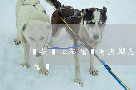 眾安貸上征信沒有逾期怎么辦(眾安貸款查征信嗎)
